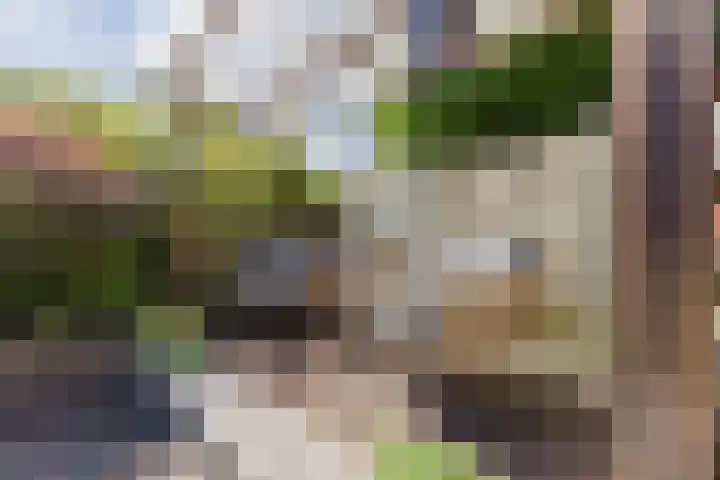 Kleiheuvel 4 Best thumbnail 47