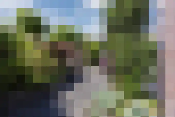 Kleiheuvel 4 Best thumbnail 51