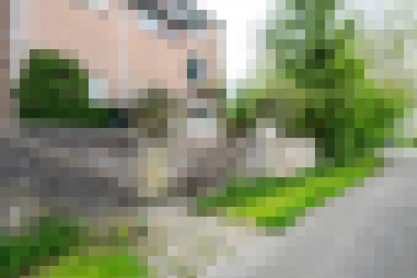 Kleihoeve 2 Houten thumbnail 42