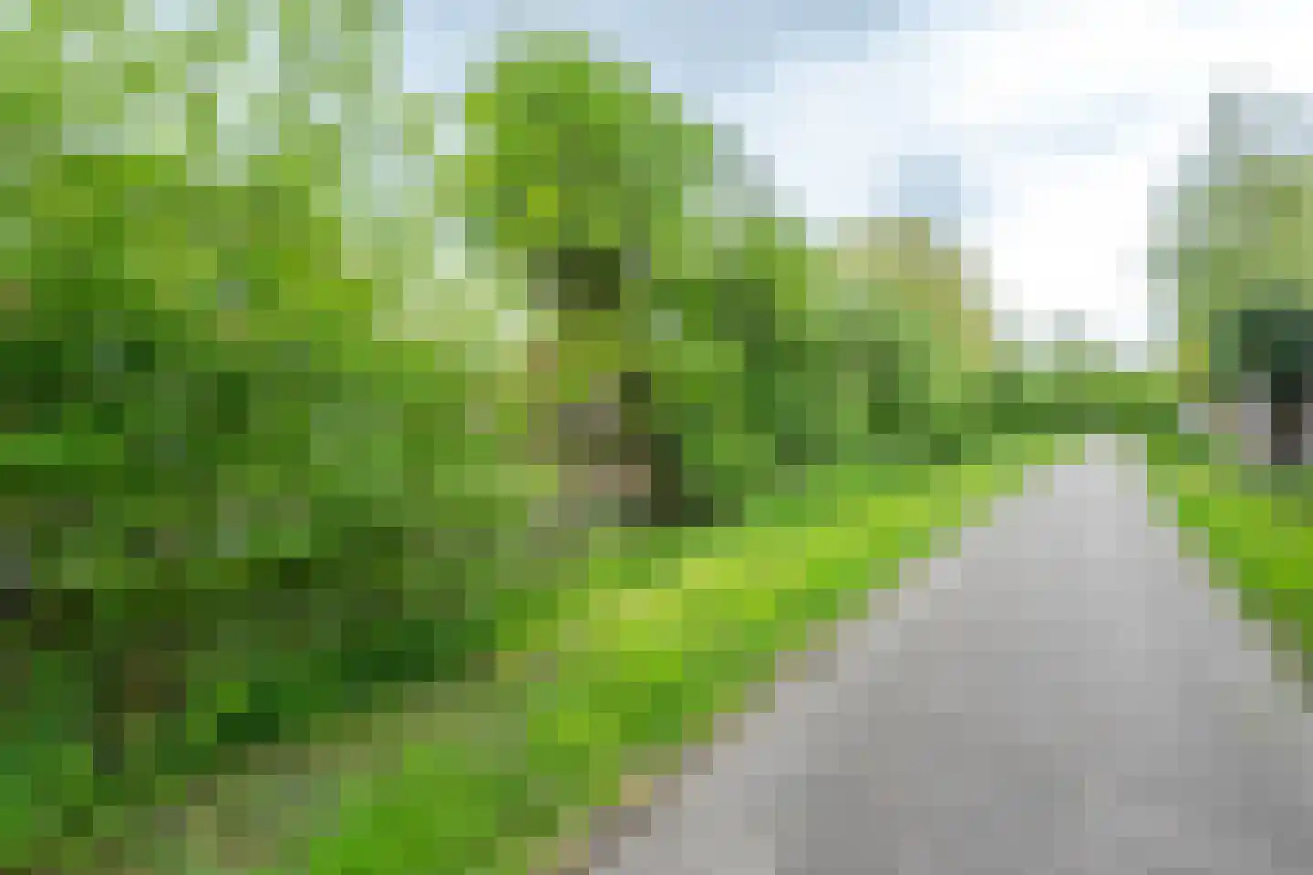 Kleihoeve 2 Houten thumbnail 43