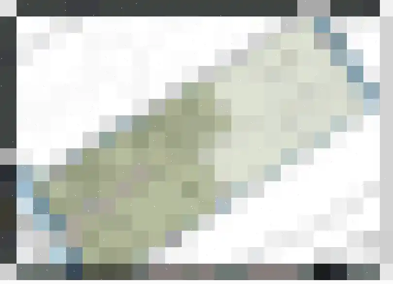 Kleihoogt 4 Berkel en Rodenrijs thumbnail 4