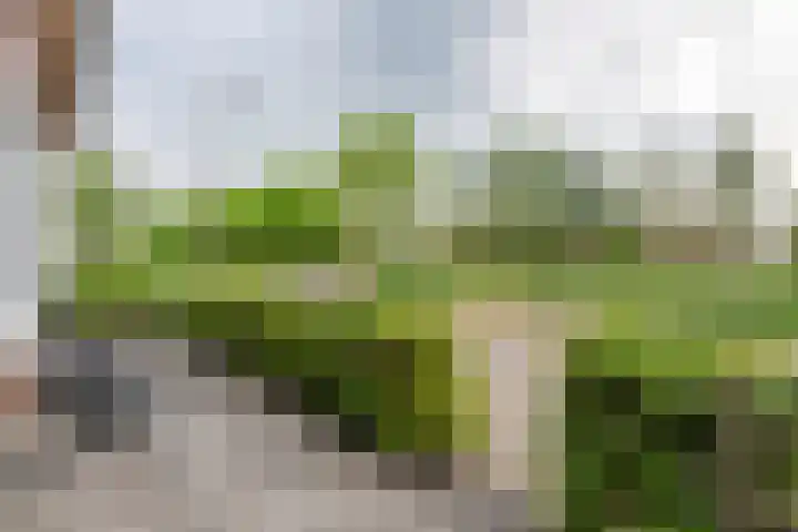Kleijerstraat 11 Veenendaal thumbnail 6