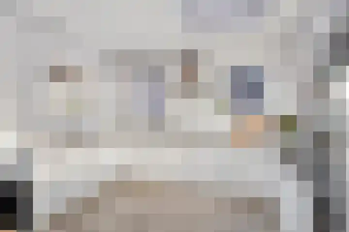 Kleijnaarstraat 3 Someren thumbnail 10