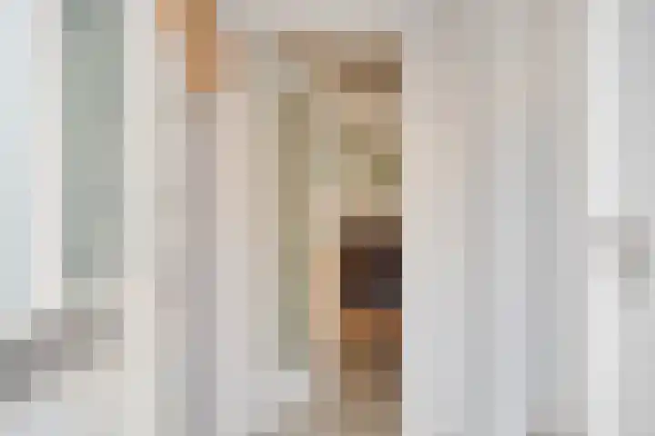 Kleijnaarstraat 3 Someren thumbnail 12