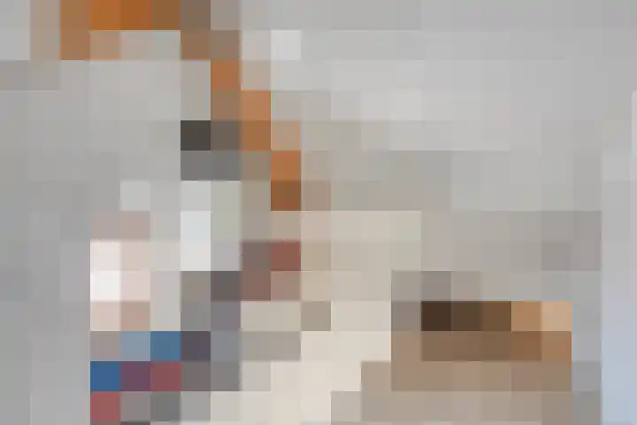 Kleijnaarstraat 3 Someren thumbnail 24
