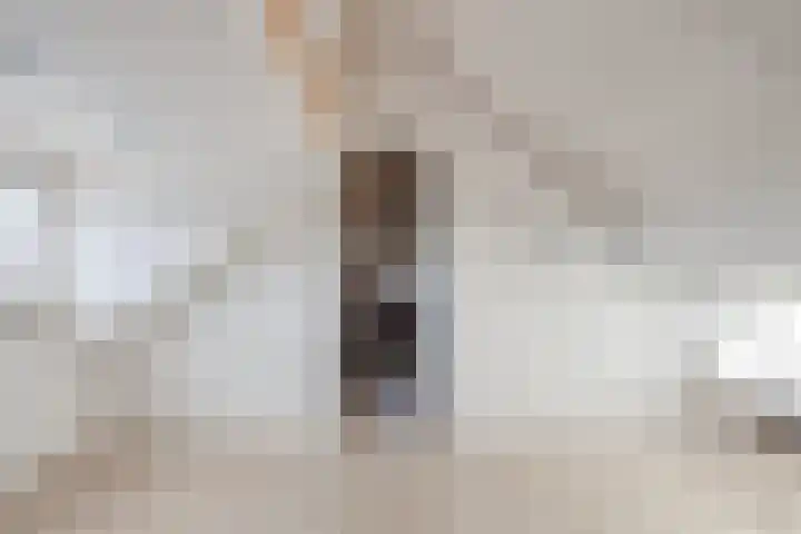Kleijnaarstraat 3 Someren thumbnail 26