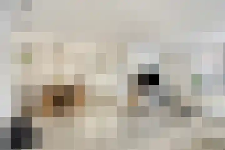 Kleijnaarstraat 3 Someren thumbnail 4