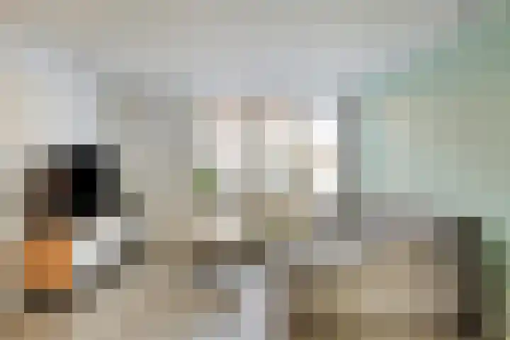 Kleijnaarstraat 3 Someren thumbnail 7