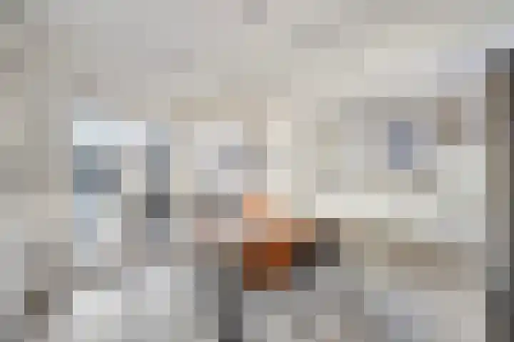 Kleijnaarstraat 3 Someren thumbnail 8