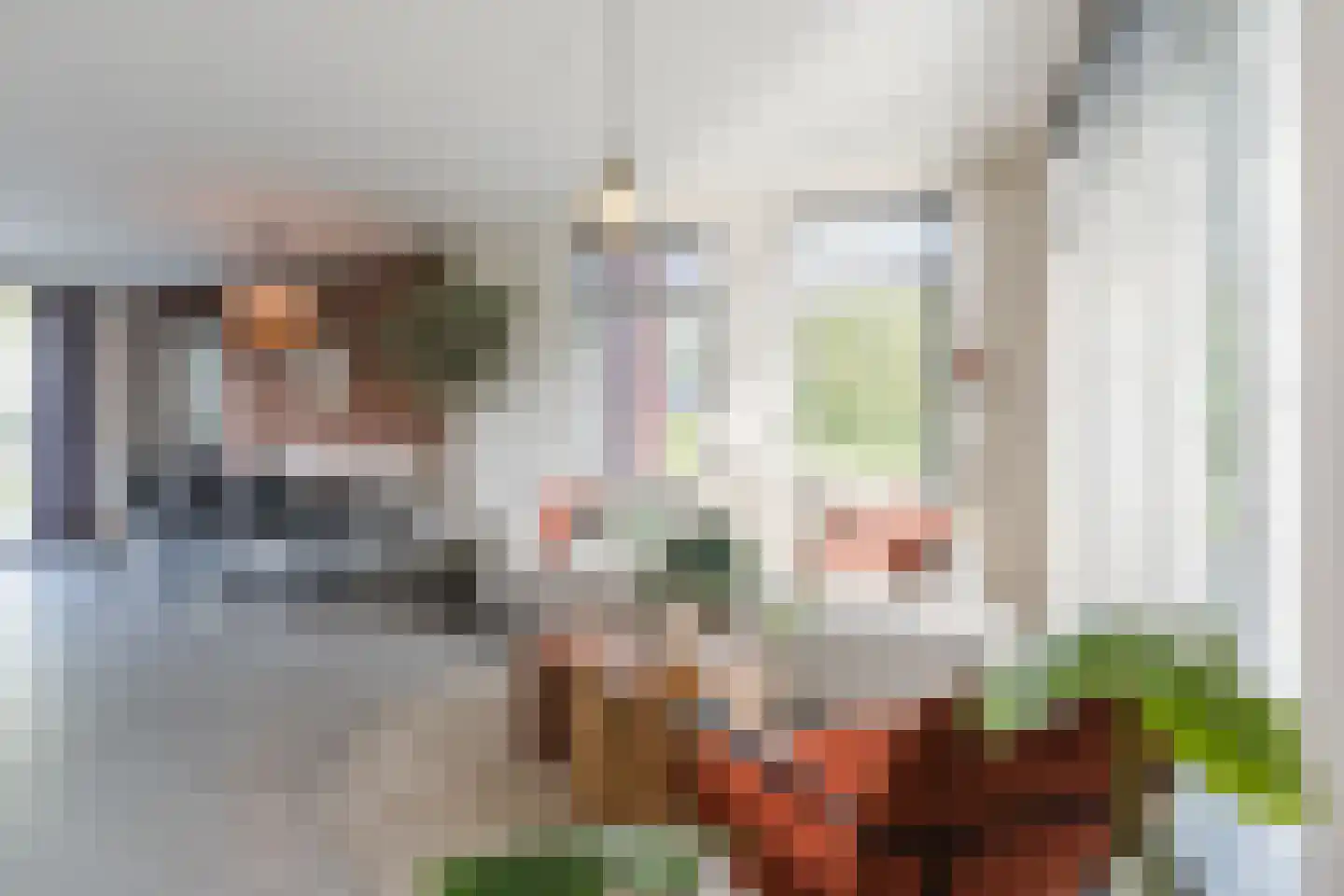 Kleijne Hove 2 Heeswijk-Dinther thumbnail 12