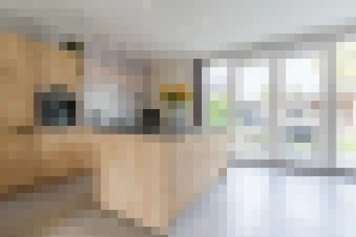 Kleijne Hove 2 Heeswijk-Dinther thumbnail 14