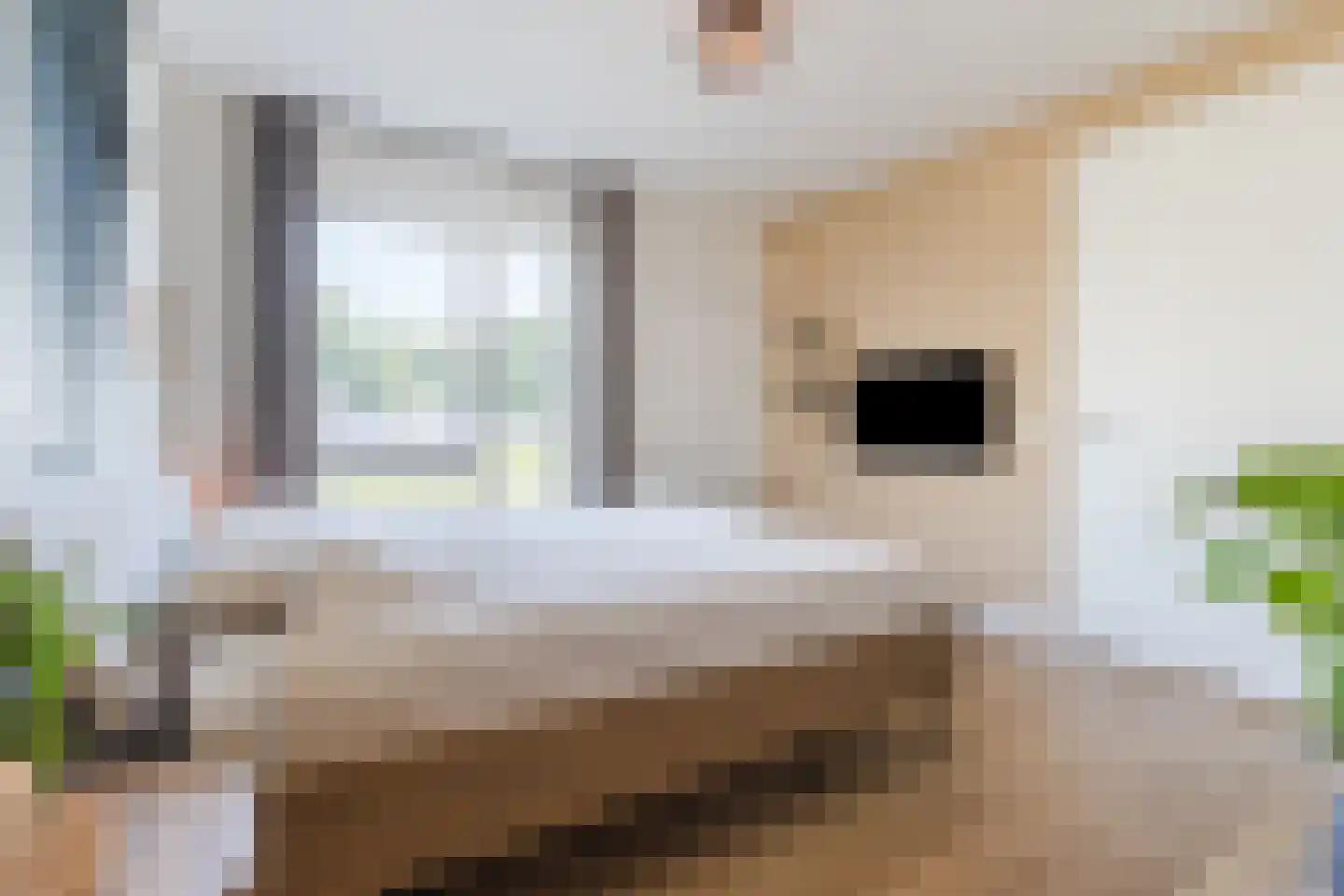 Kleijne Hove 2 Heeswijk-Dinther thumbnail 22