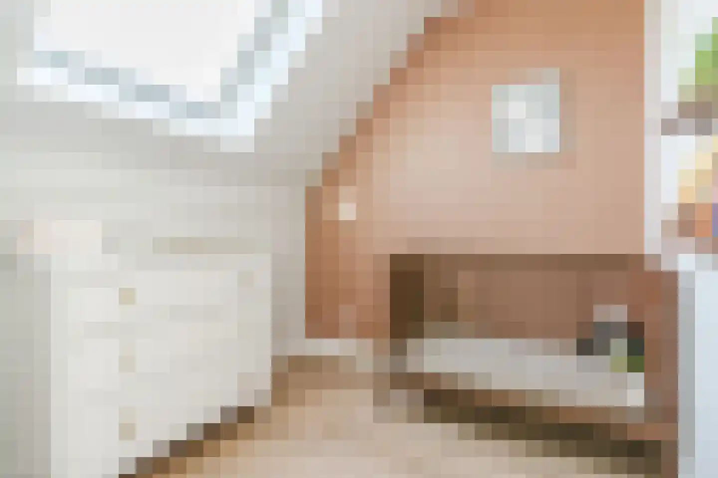Kleijne Hove 2 Heeswijk-Dinther thumbnail 25