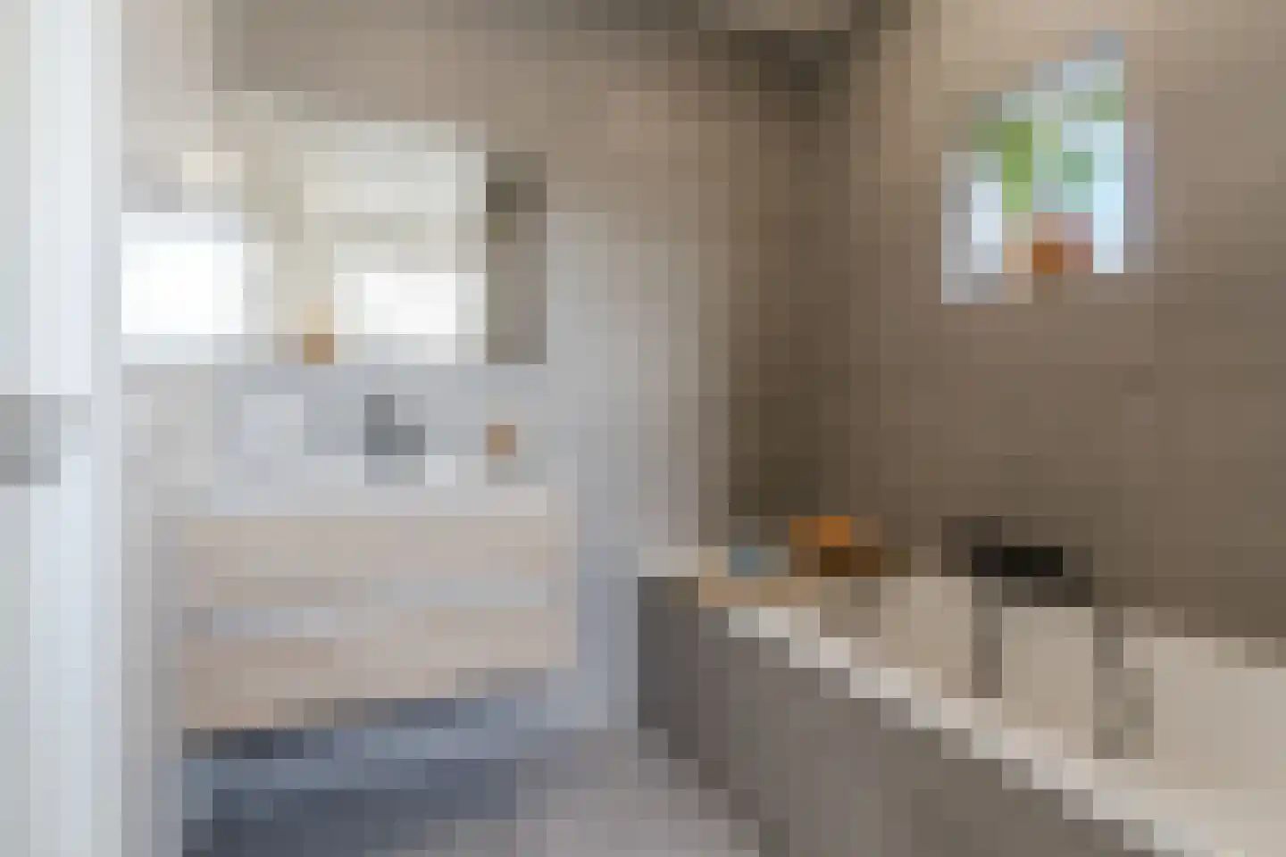 Kleijne Hove 2 Heeswijk-Dinther thumbnail 27