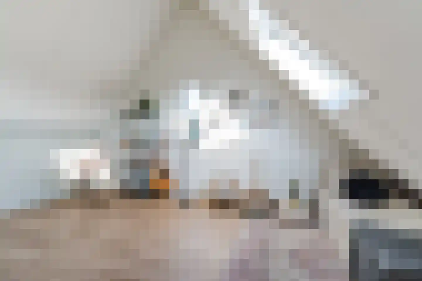 Kleijne Hove 2 Heeswijk-Dinther thumbnail 34