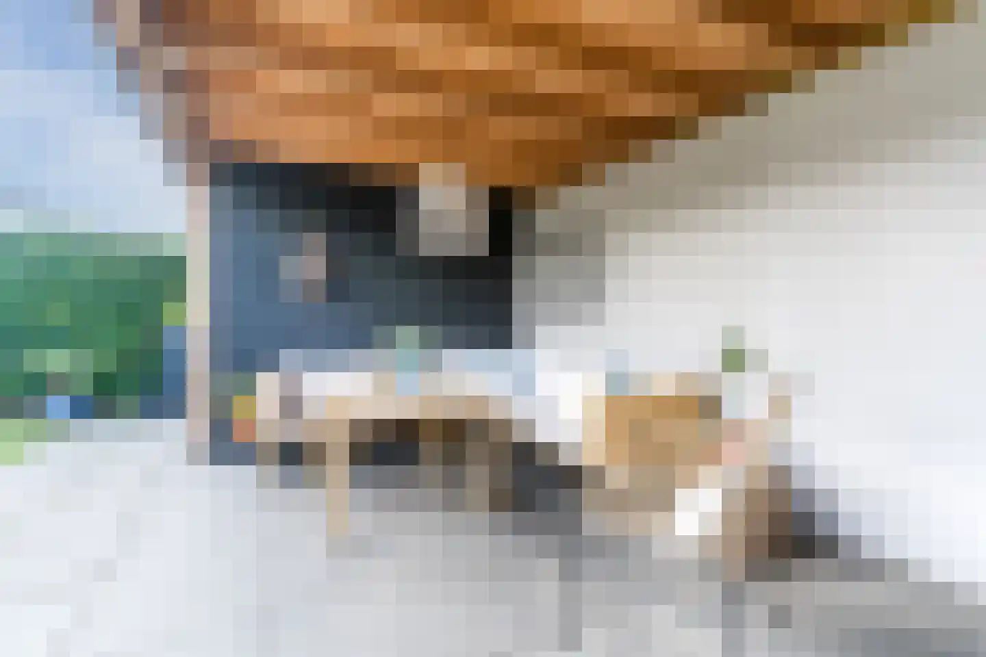 Kleijne Hove 2 Heeswijk-Dinther thumbnail 37