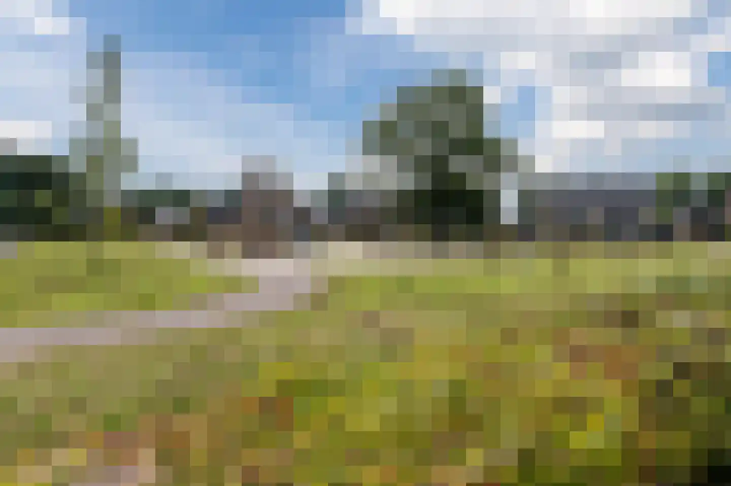 Kleijne Hove 2 Heeswijk-Dinther thumbnail 46