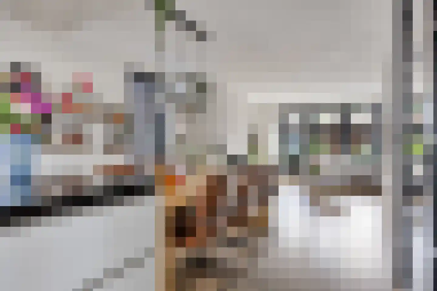 Kleijne Hove 26 Heeswijk-Dinther thumbnail 14