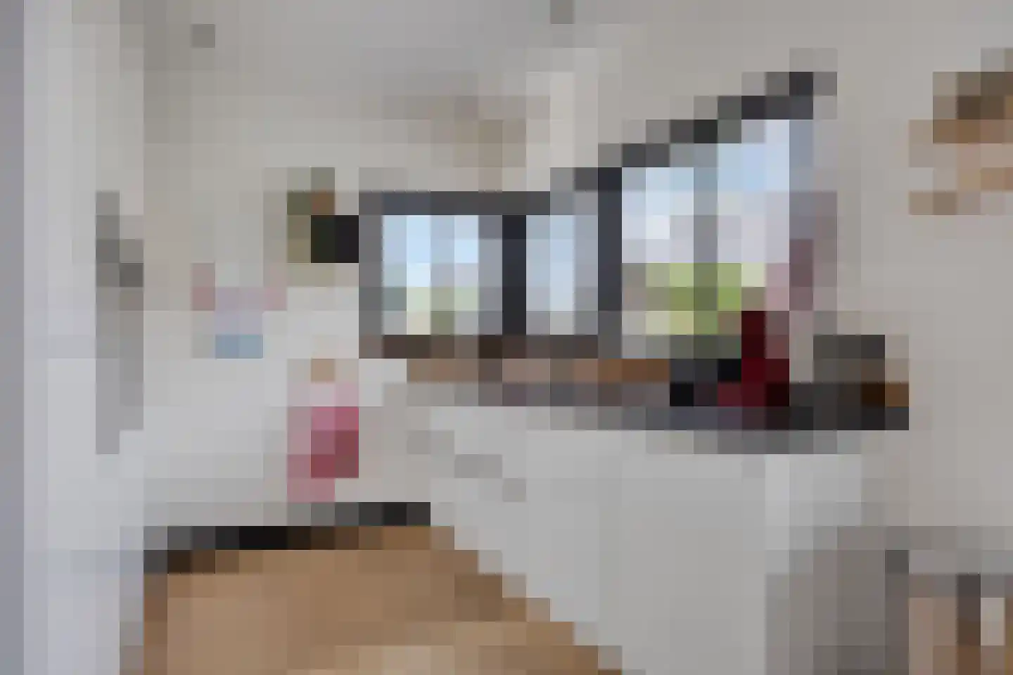 Kleijne Hove 26 Heeswijk-Dinther thumbnail 17