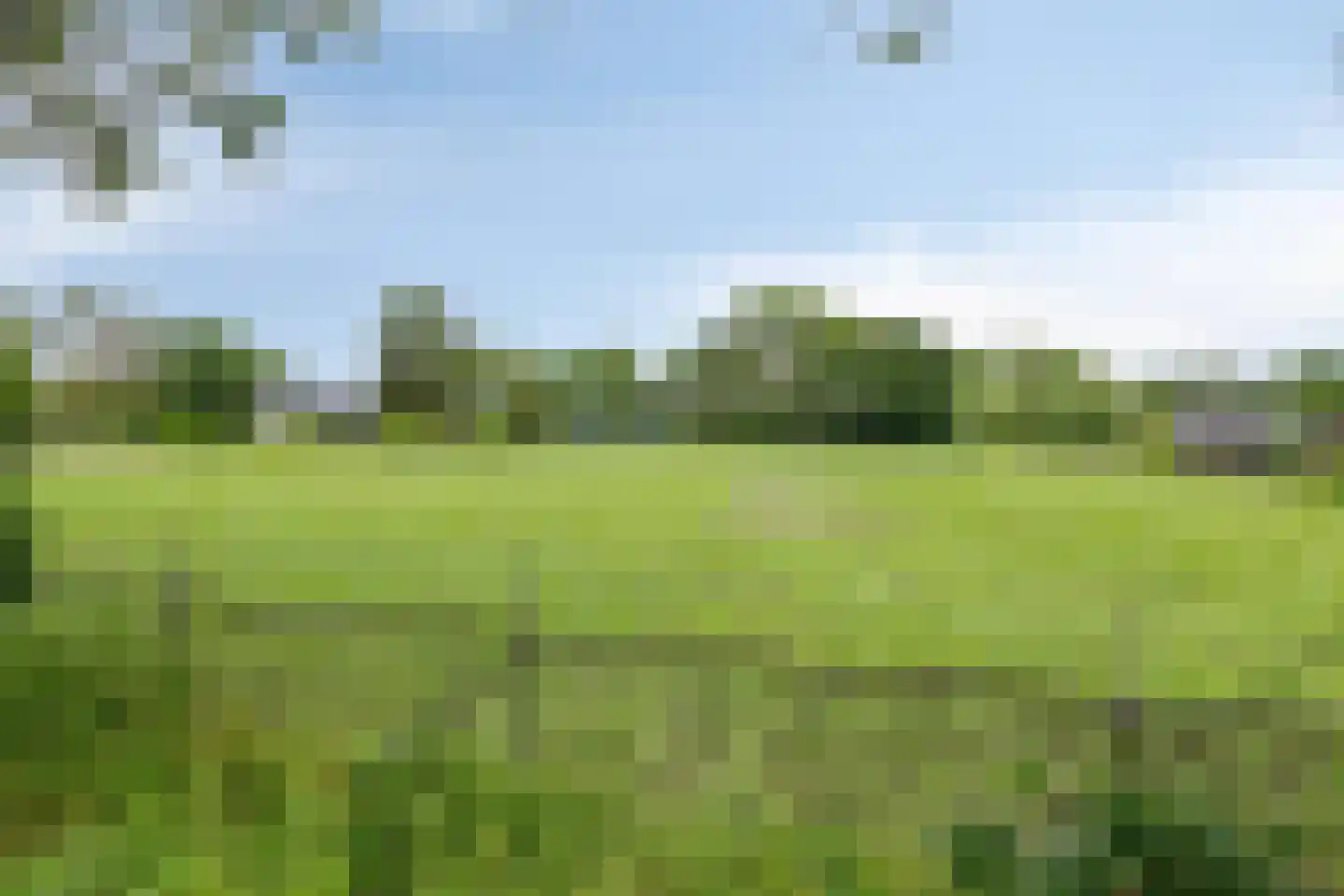 Kleijne Hove 26 Heeswijk-Dinther thumbnail 41