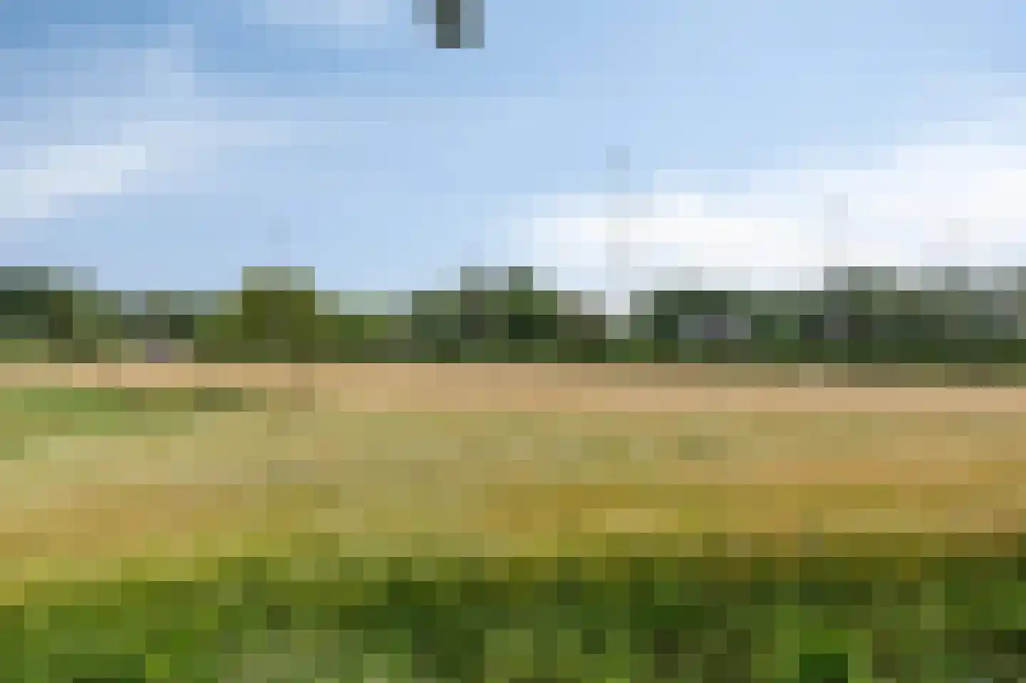 Kleijne Hove 26 Heeswijk-Dinther thumbnail 42
