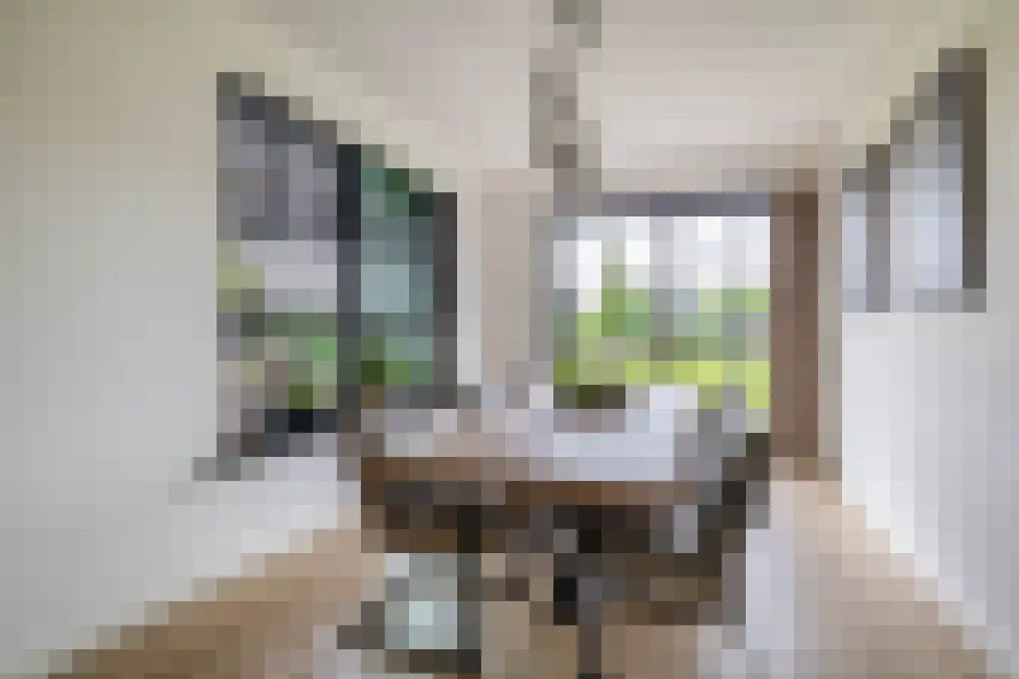Kleijnvenke 2 Arcen thumbnail 11