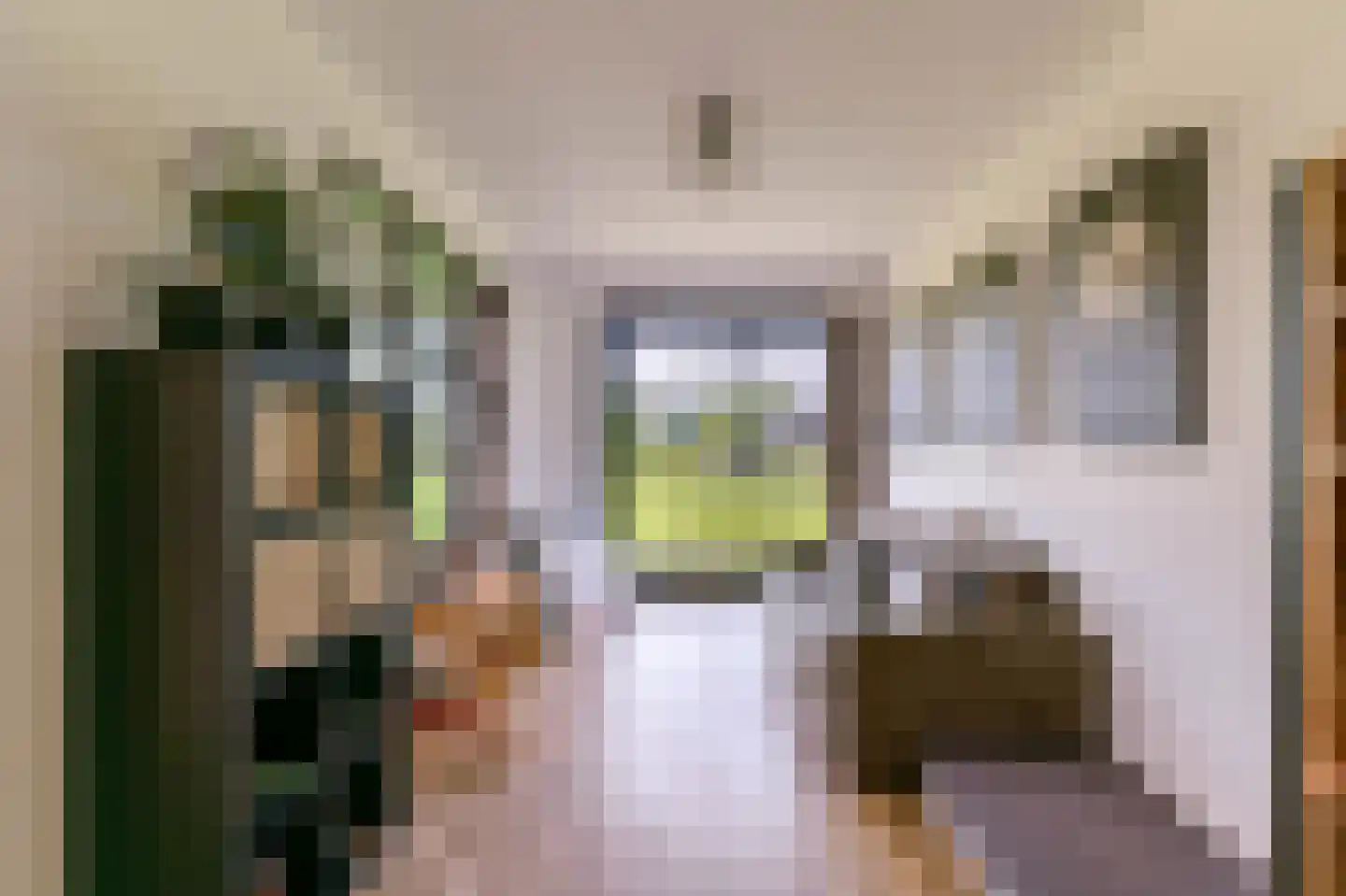 Kleijnvenke 2 Arcen thumbnail 11