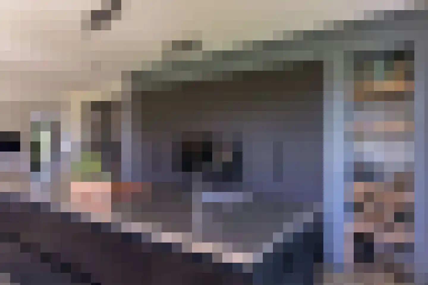 Kleijnvenke 2 Arcen thumbnail 12