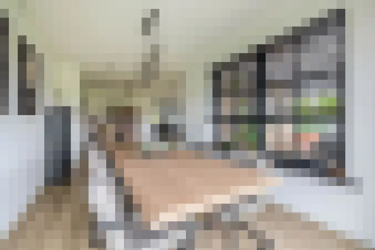 Kleijnvenke 2 Arcen thumbnail 12