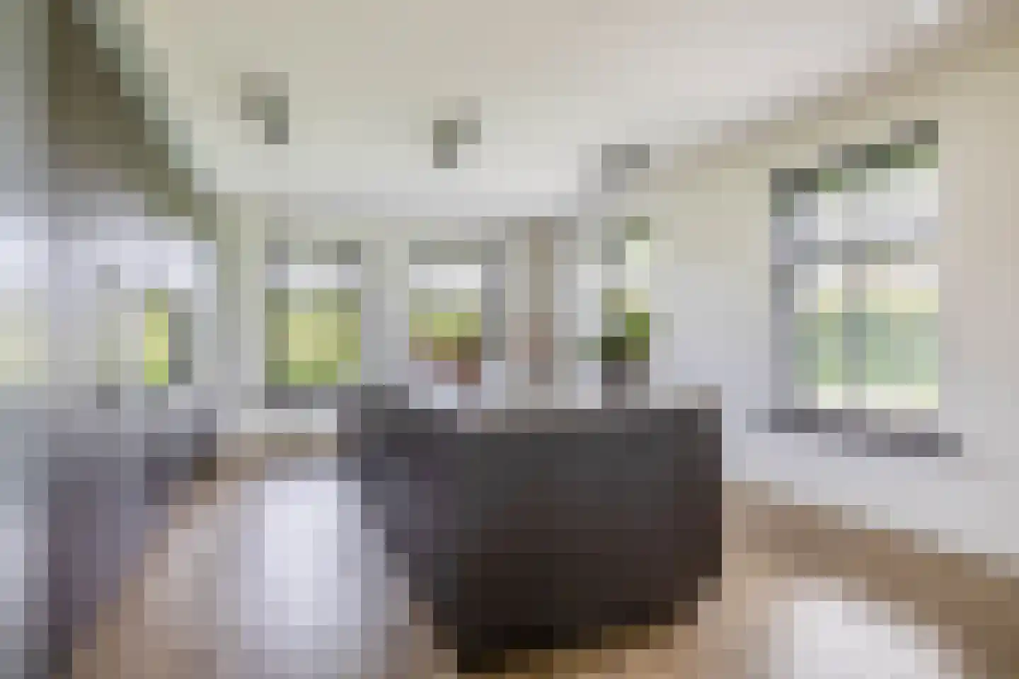 Kleijnvenke 2 Arcen thumbnail 13