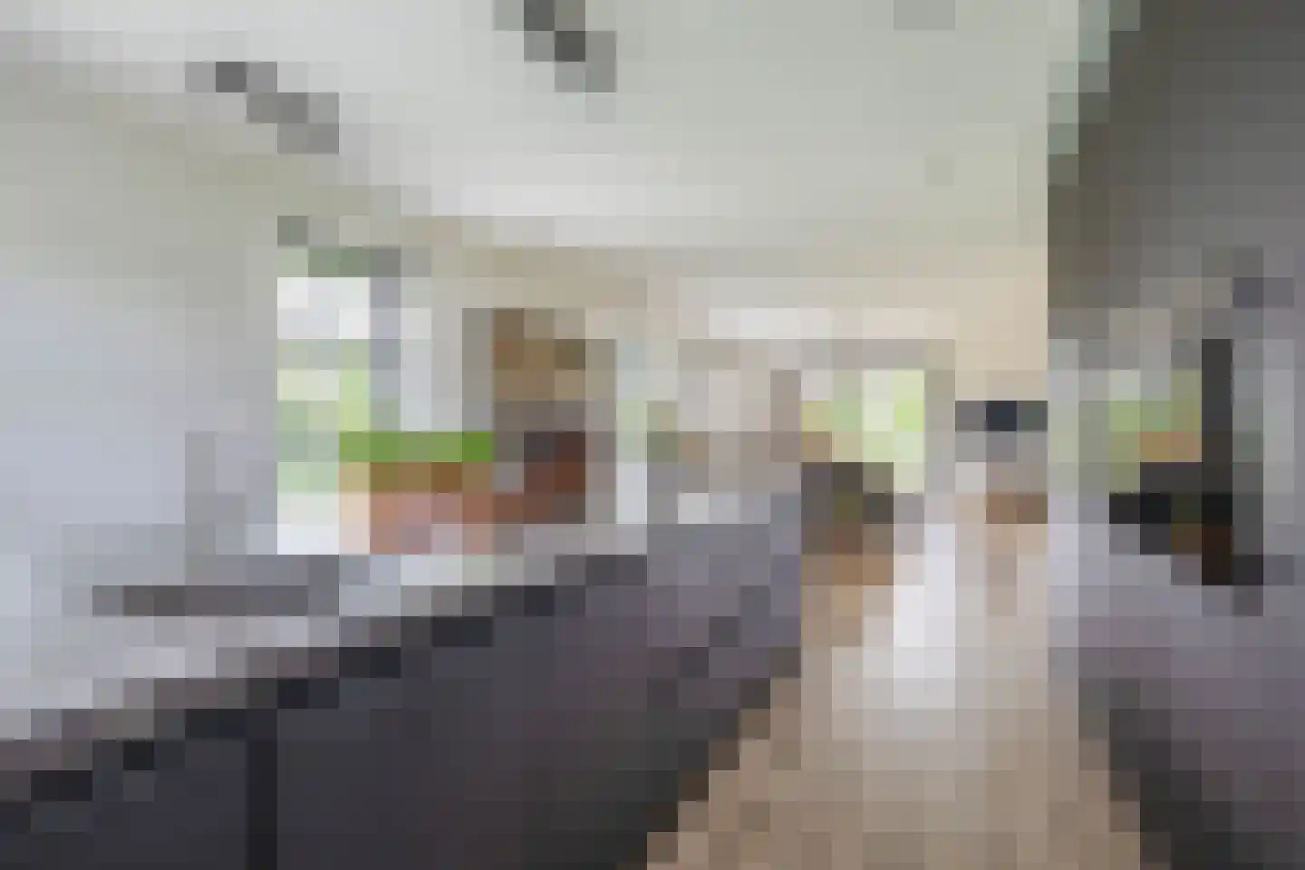 Kleijnvenke 2 Arcen thumbnail 15