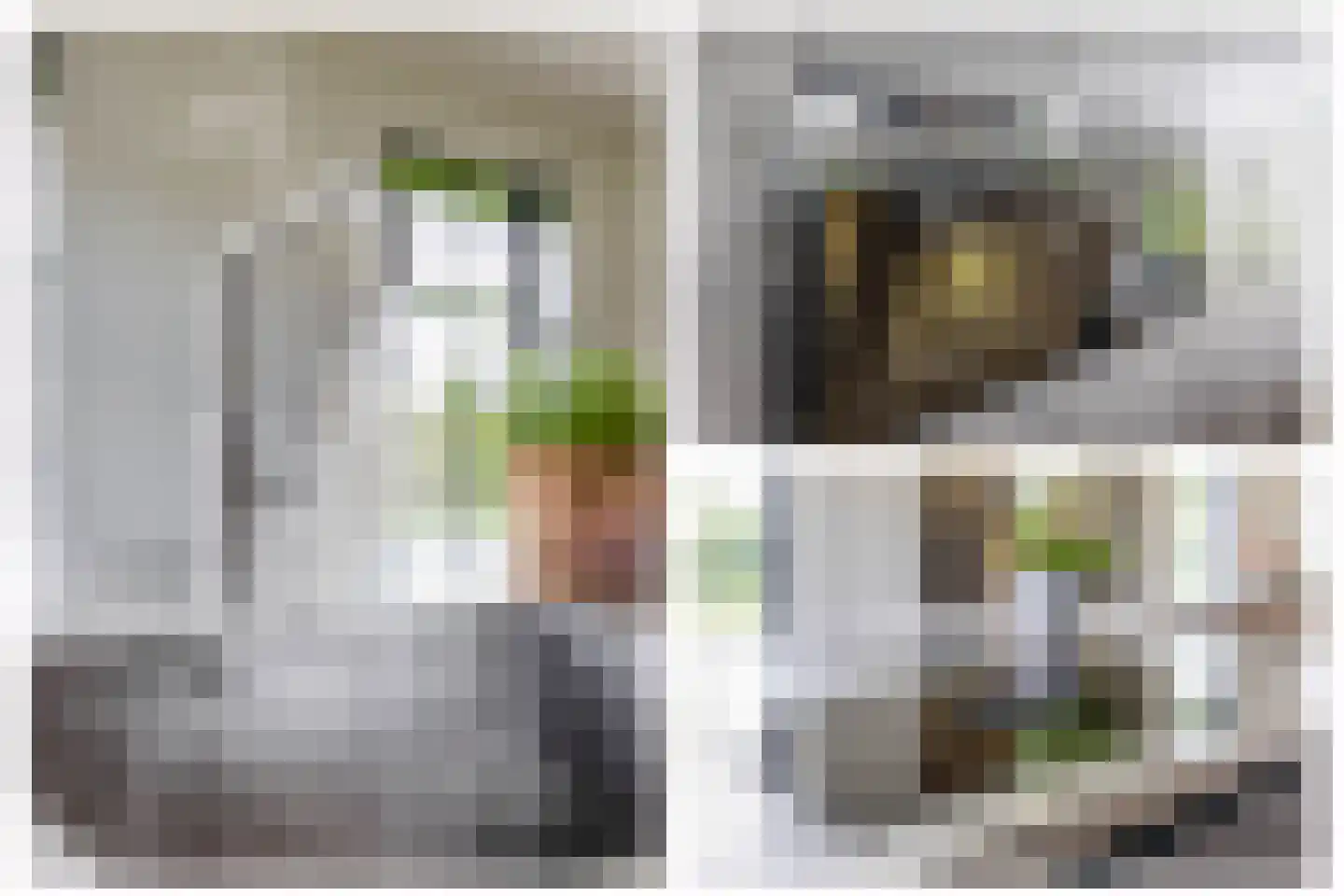 Kleijnvenke 2 Arcen thumbnail 16