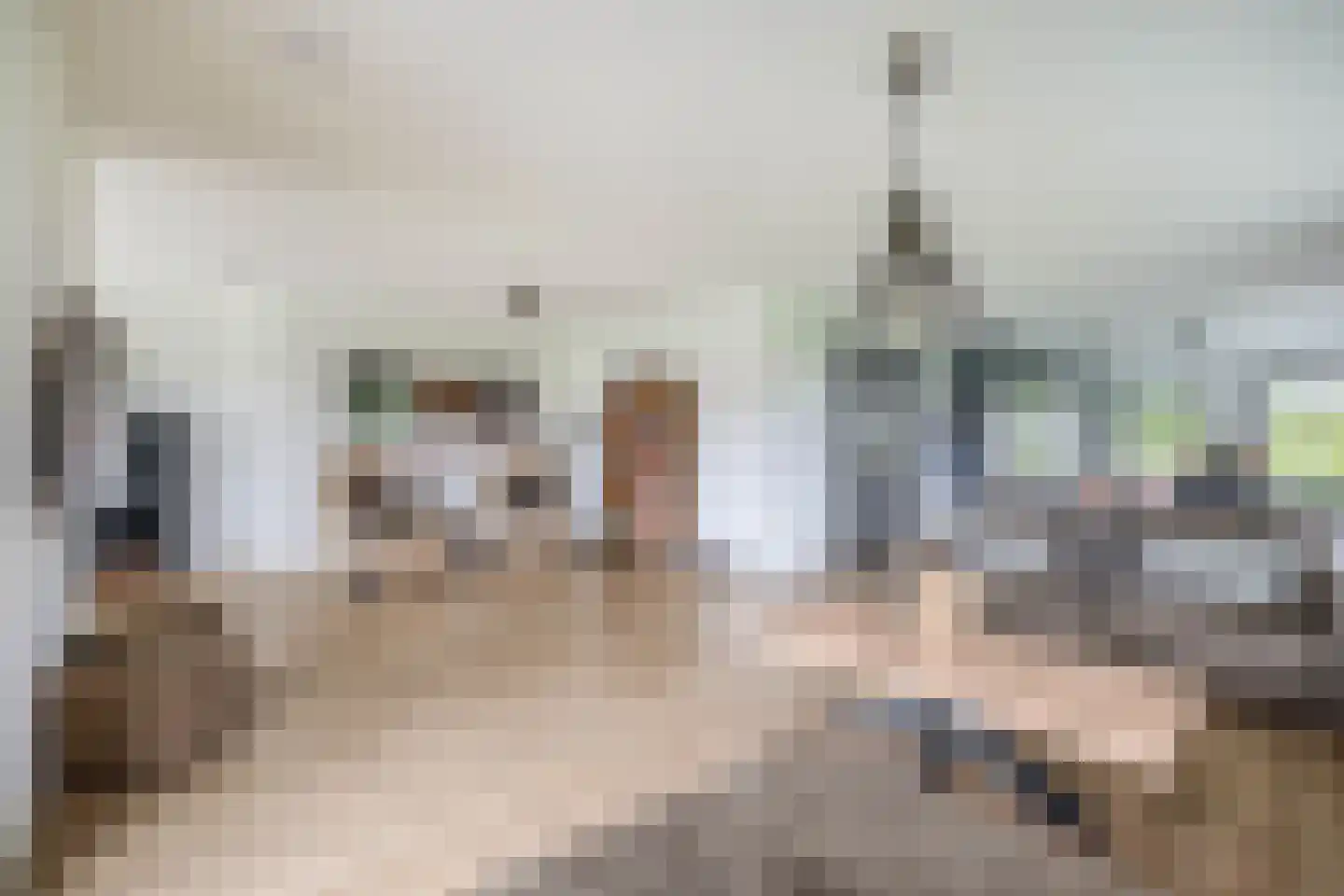 Kleijnvenke 2 Arcen thumbnail 17