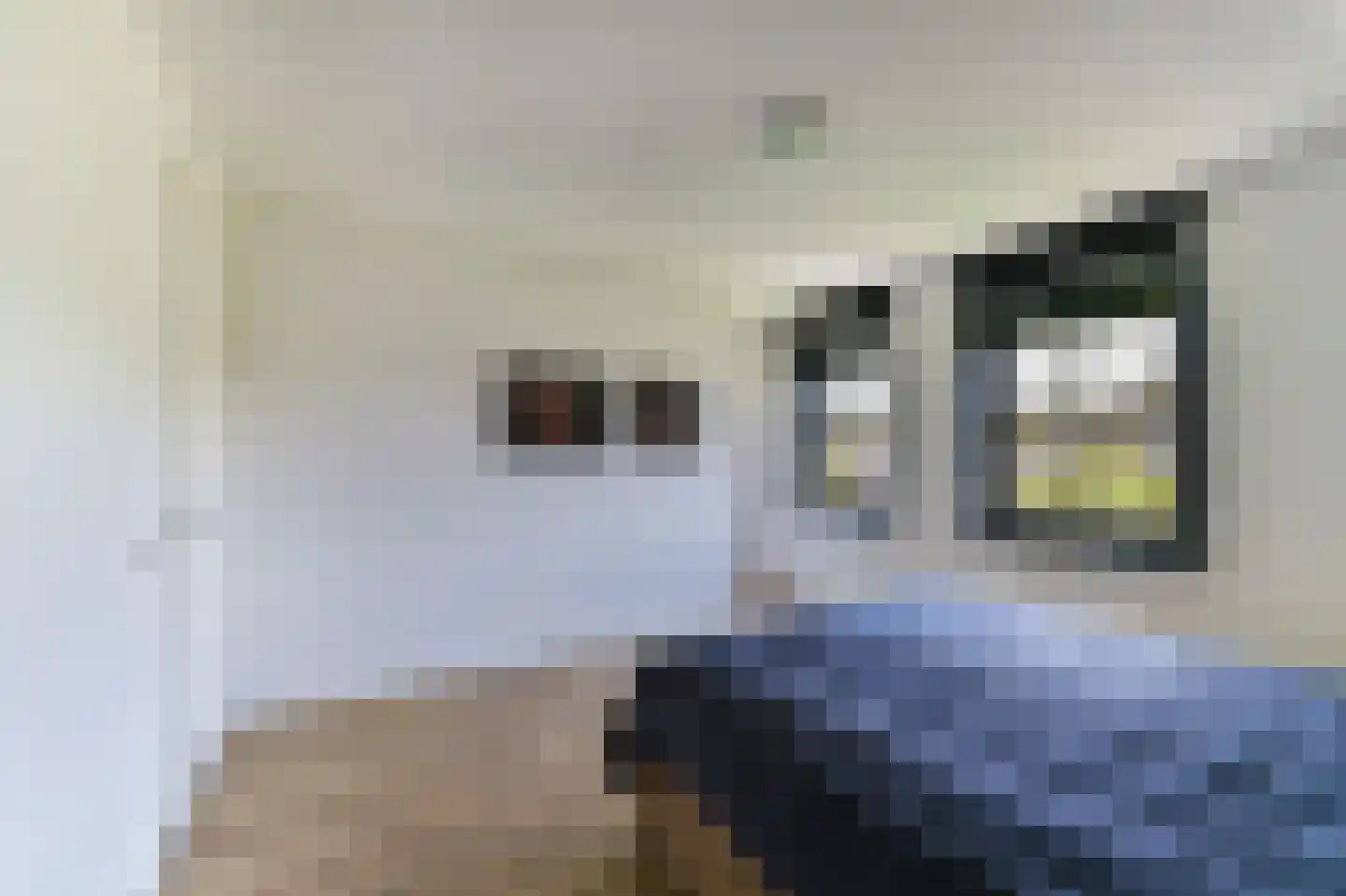 Kleijnvenke 2 Arcen thumbnail 17