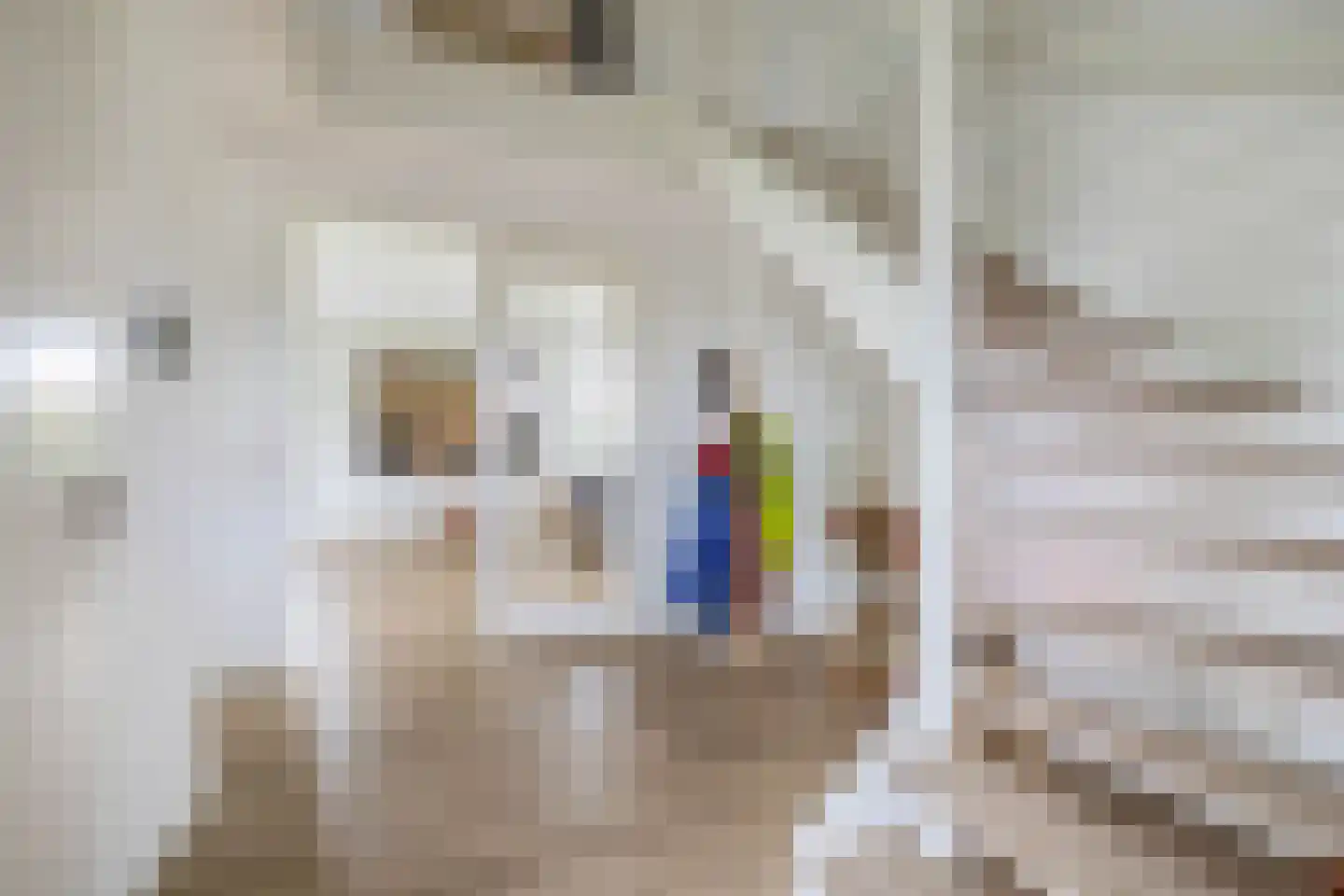 Kleijnvenke 2 Arcen thumbnail 18