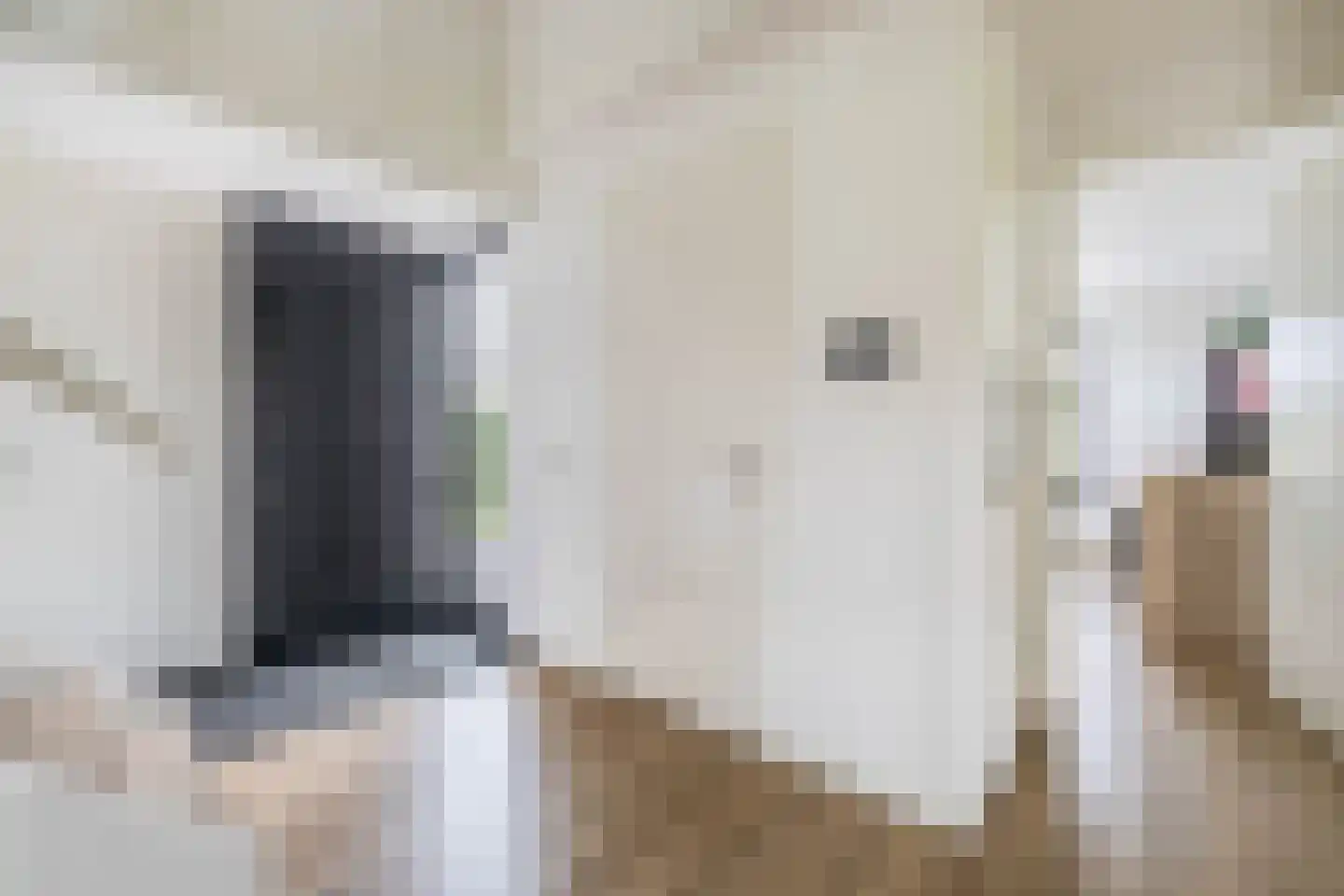 Kleijnvenke 2 Arcen thumbnail 19