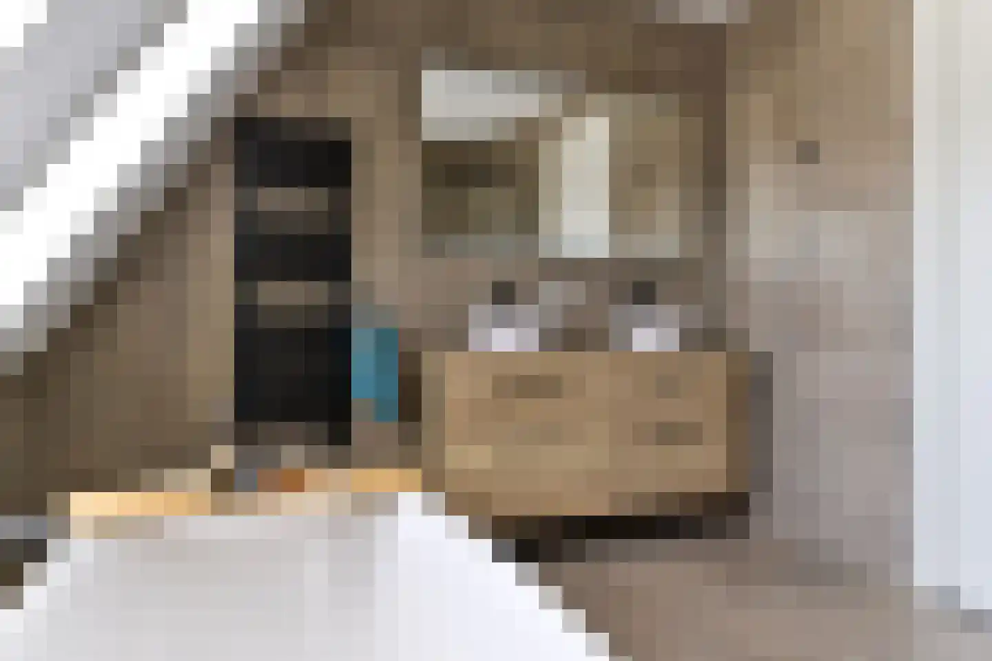 Kleijnvenke 2 Arcen thumbnail 20