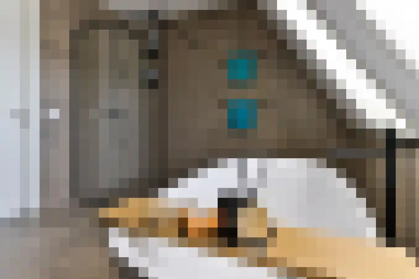Kleijnvenke 2 Arcen thumbnail 21