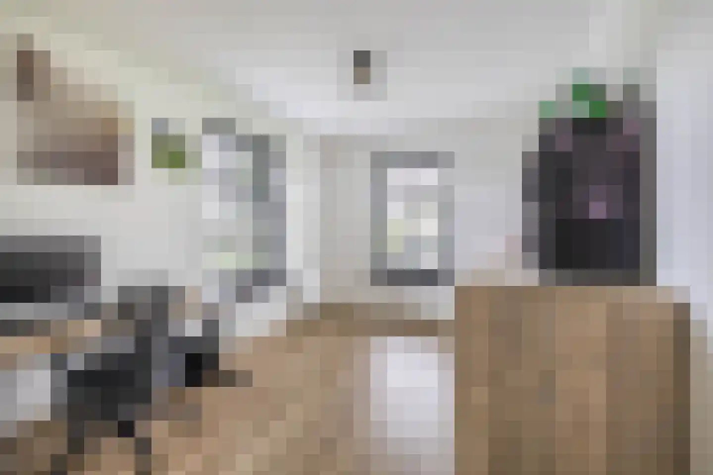 Kleijnvenke 2 Arcen thumbnail 21