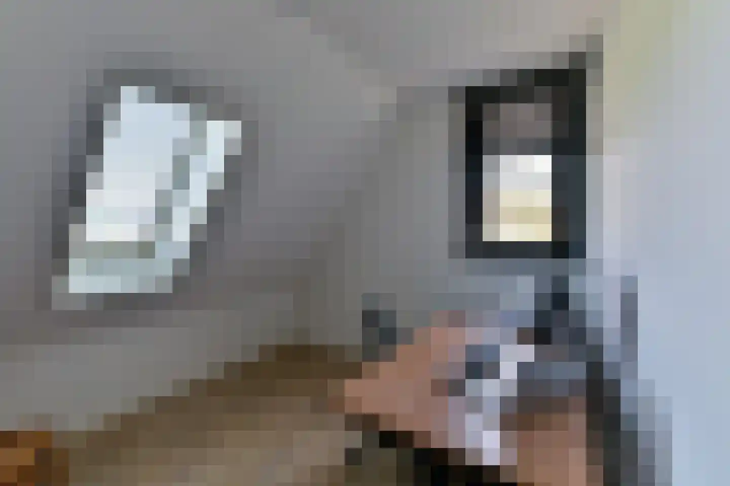Kleijnvenke 2 Arcen thumbnail 23