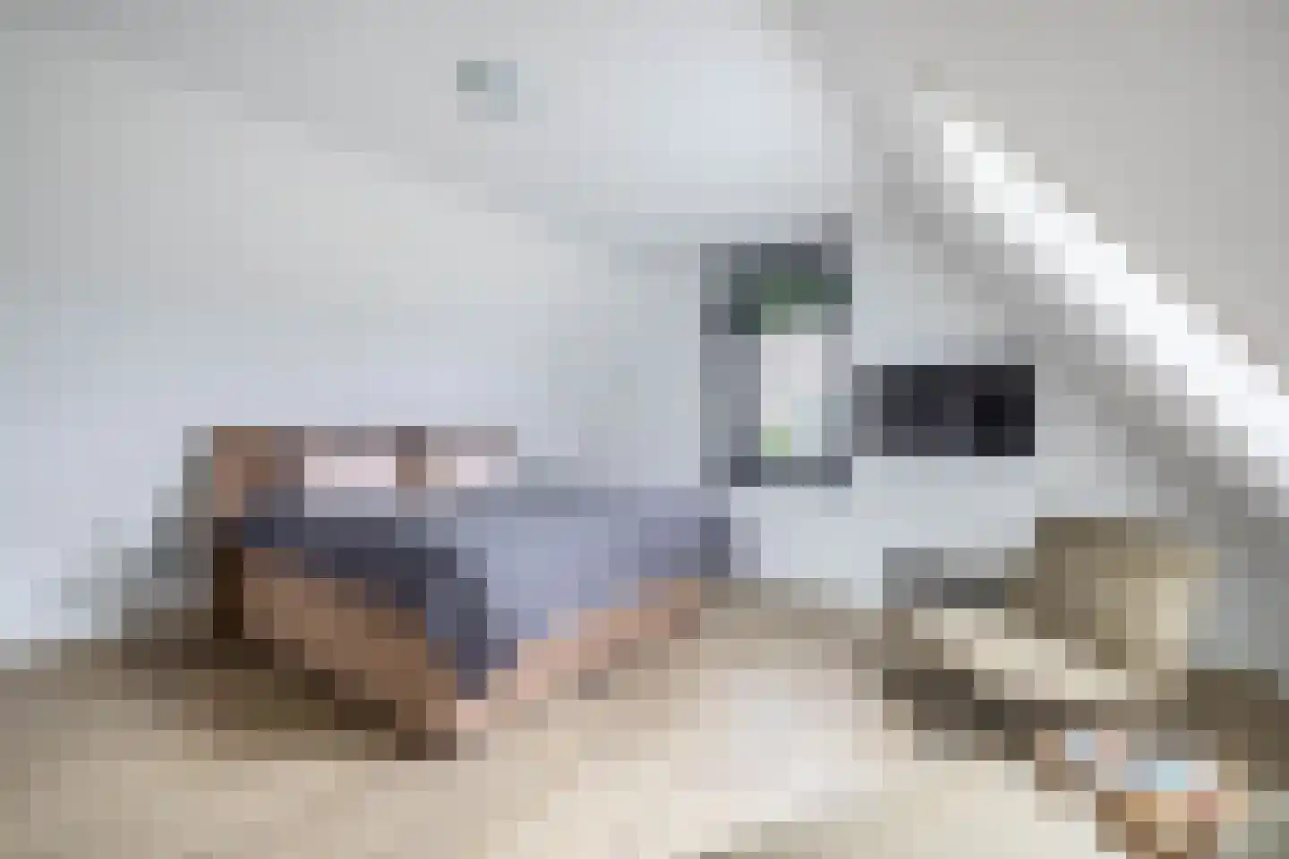 Kleijnvenke 2 Arcen thumbnail 25