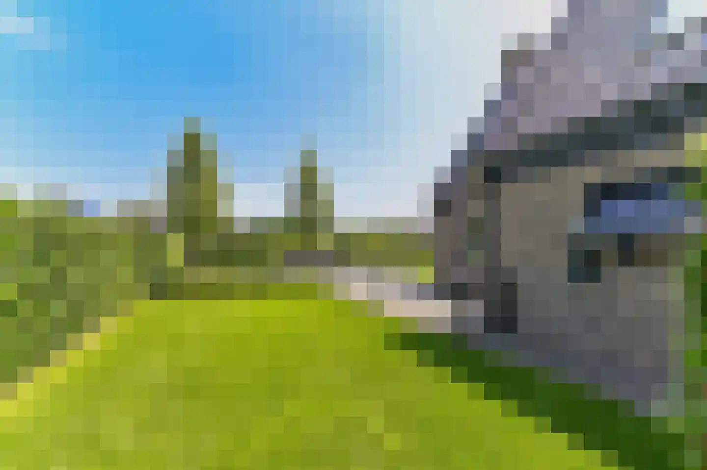 Kleijnvenke 2 Arcen thumbnail 26