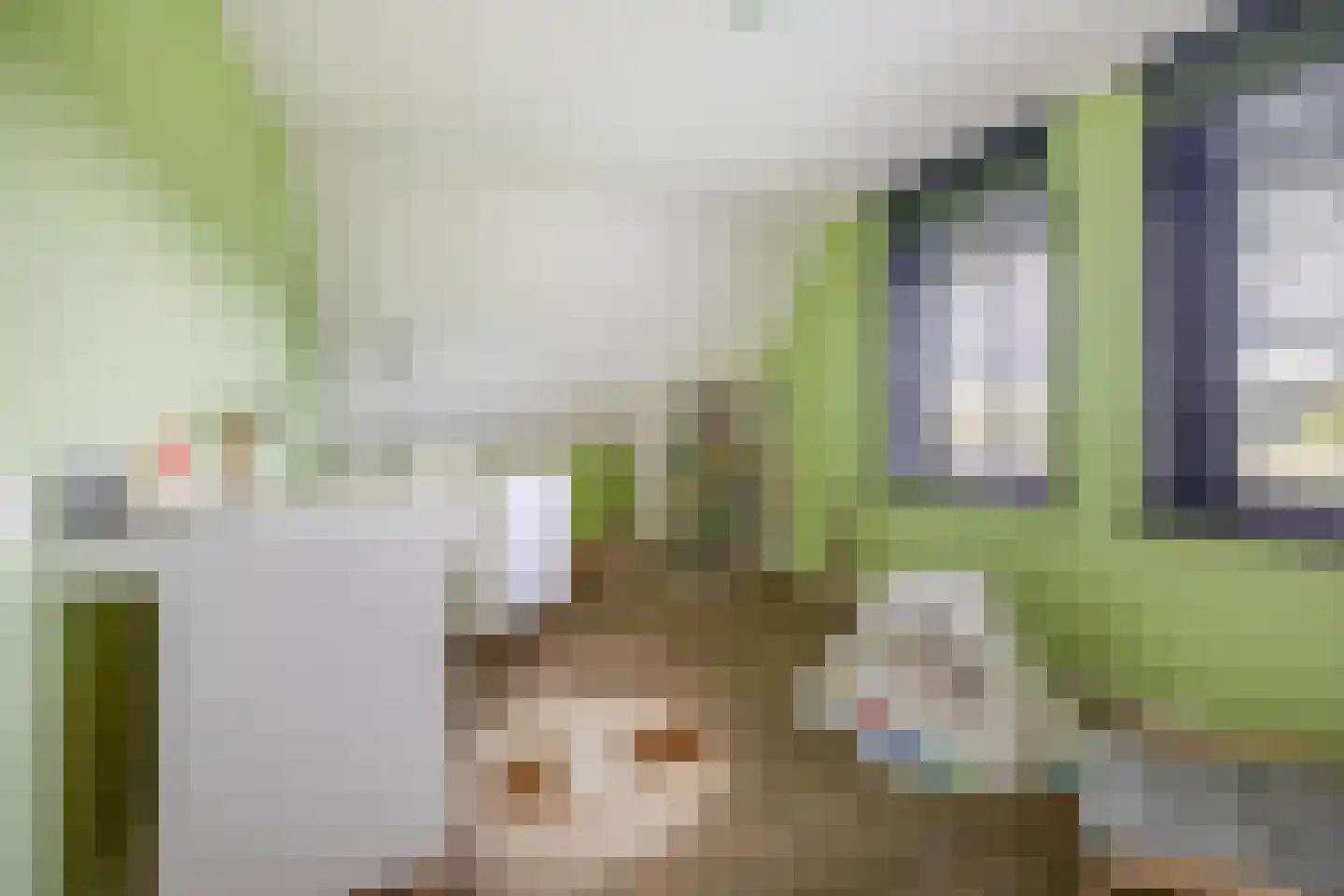 Kleijnvenke 2 Arcen thumbnail 27