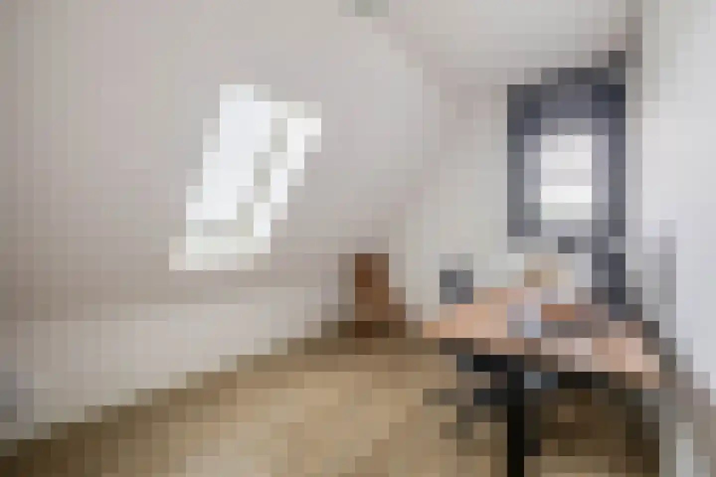 Kleijnvenke 2 Arcen thumbnail 29