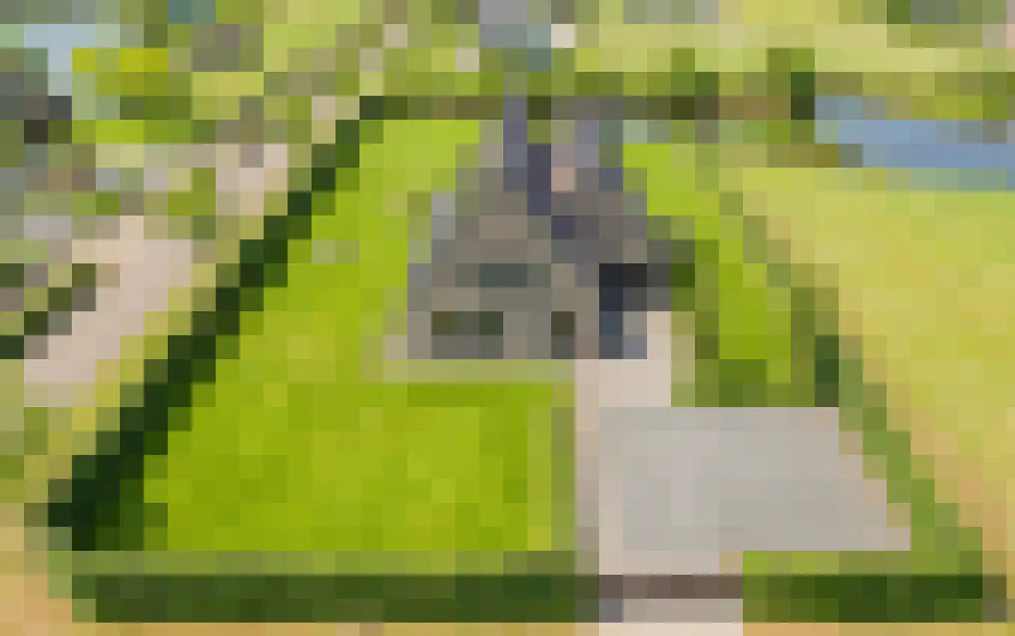 Kleijnvenke 2 Arcen thumbnail 32