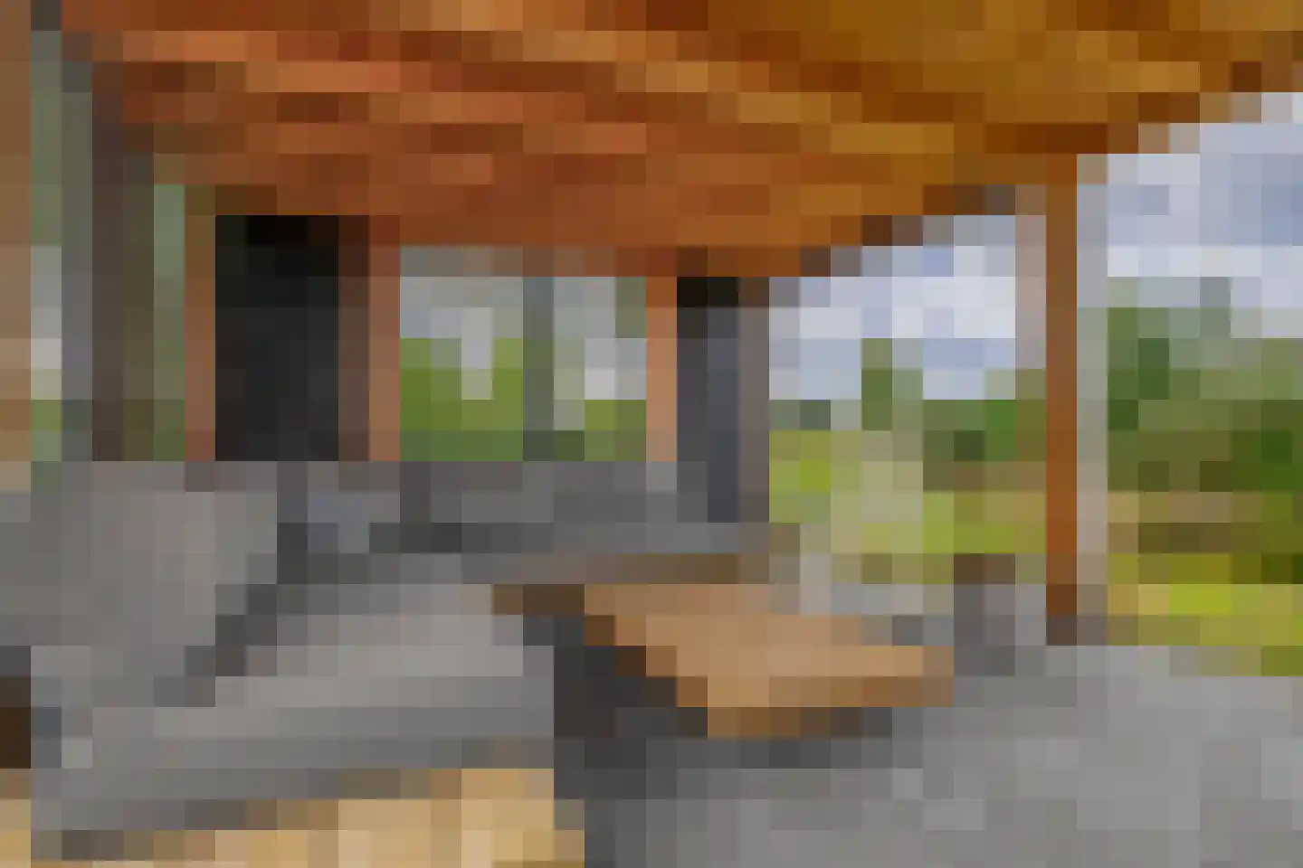 Kleijnvenke 2 Arcen thumbnail 39