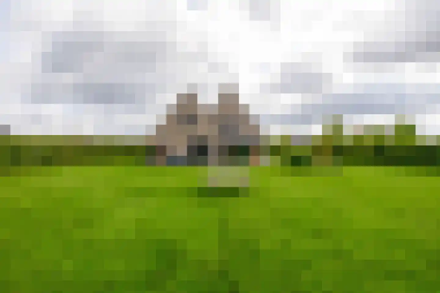 Kleijnvenke 2 Arcen thumbnail 42