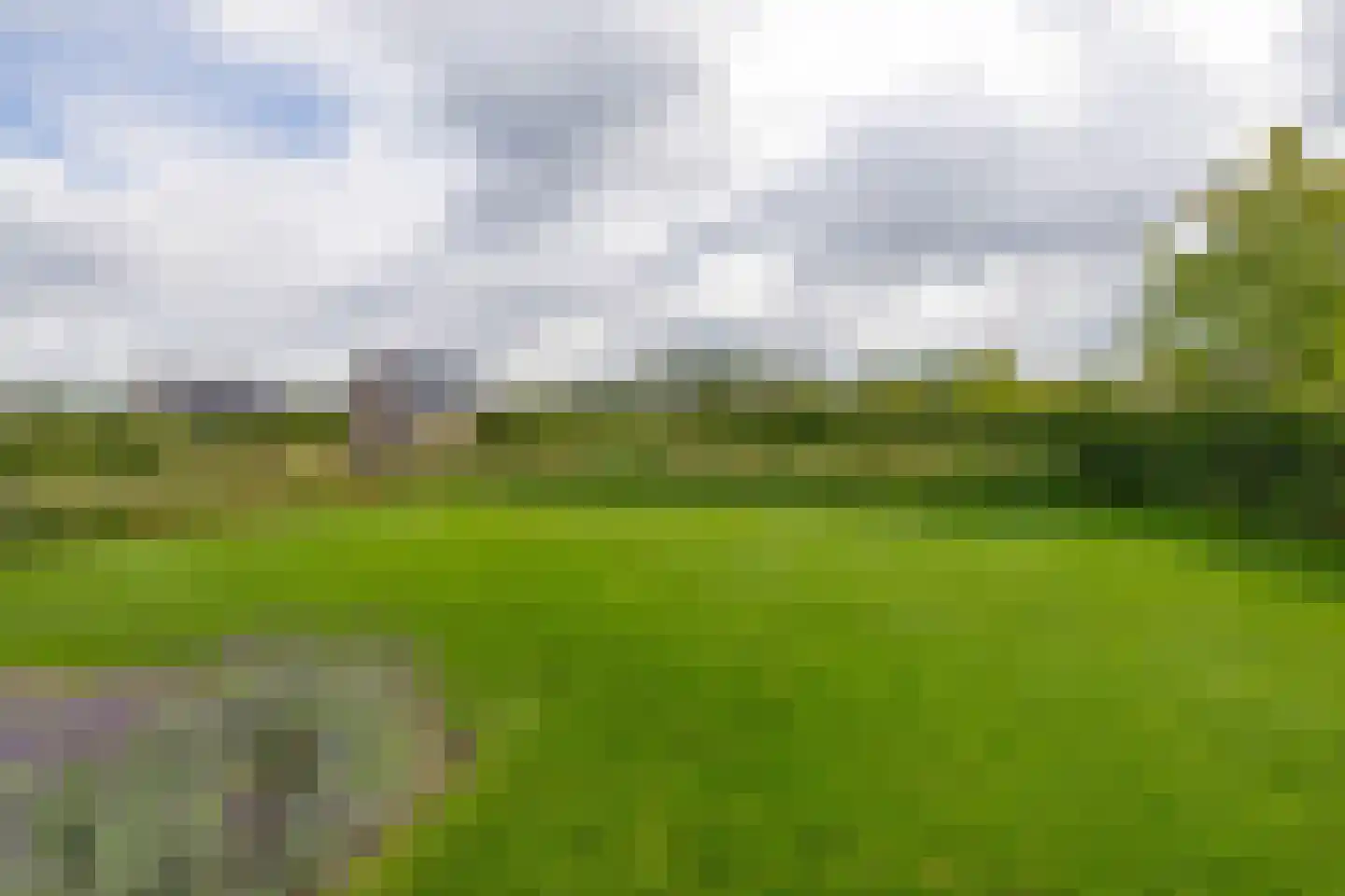 Kleijnvenke 2 Arcen thumbnail 48