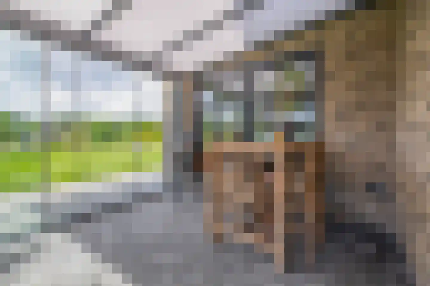 Kleijnvenke 2 Arcen thumbnail 51