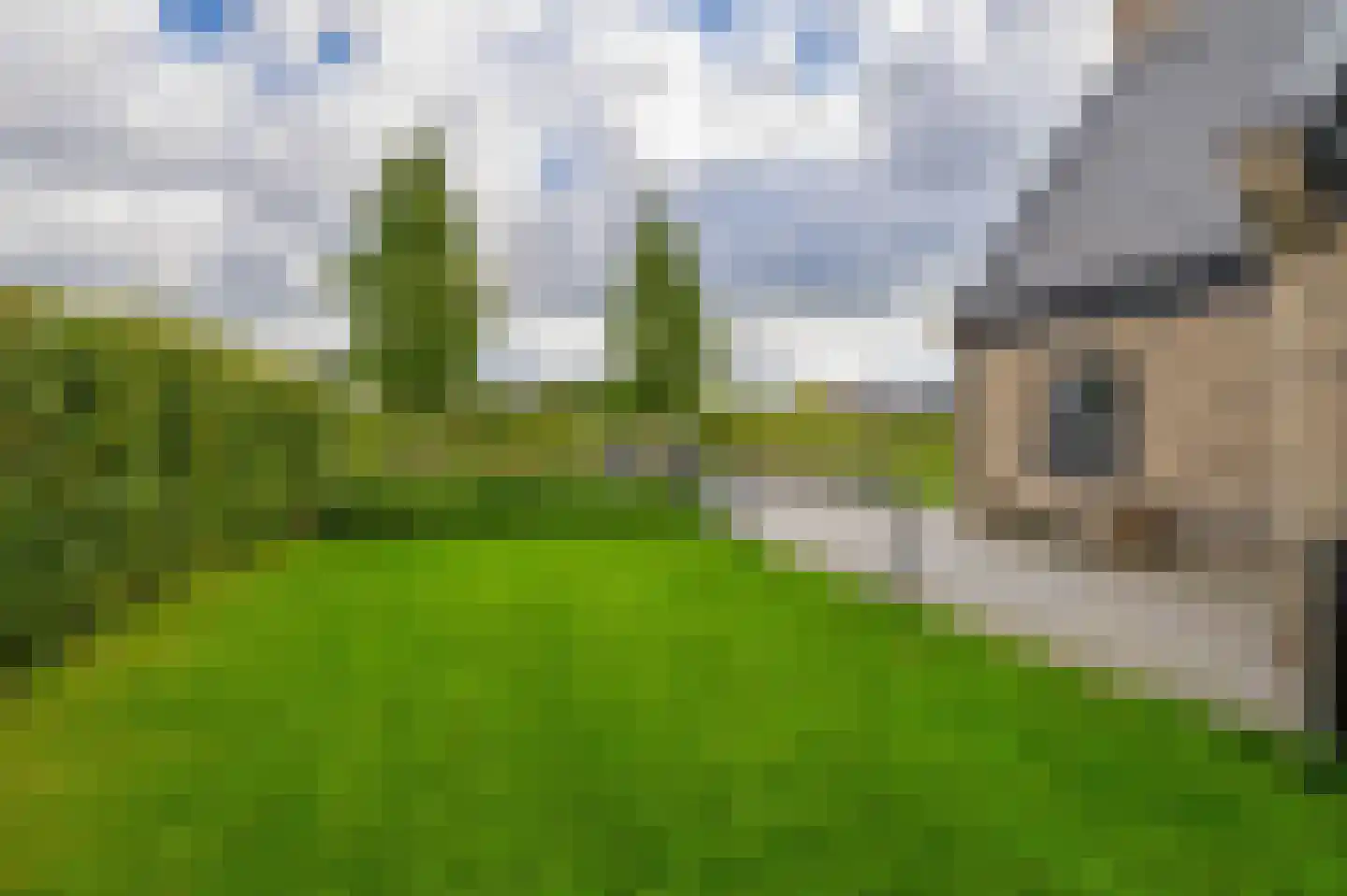 Kleijnvenke 2 Arcen thumbnail 55